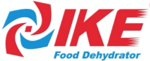 IKE logo